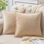 Decorative Velvet Cushion