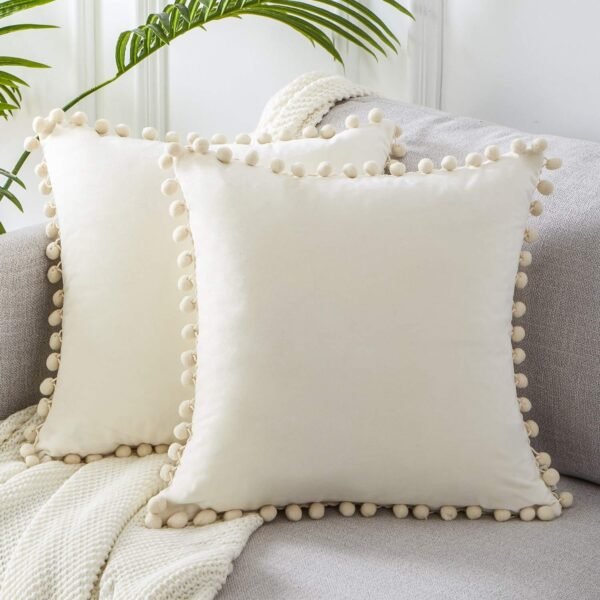 Decorative Velvet Cushion
