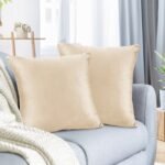 Decorative Velvet Cushion